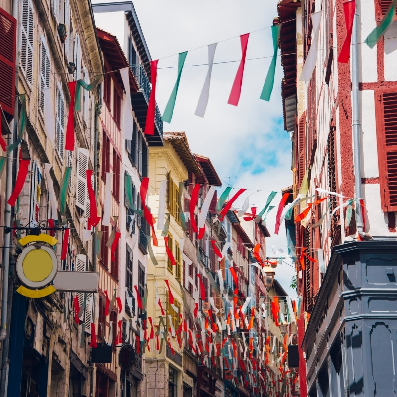 Vue de Bayonne - Cathédrale et rives de la Nive