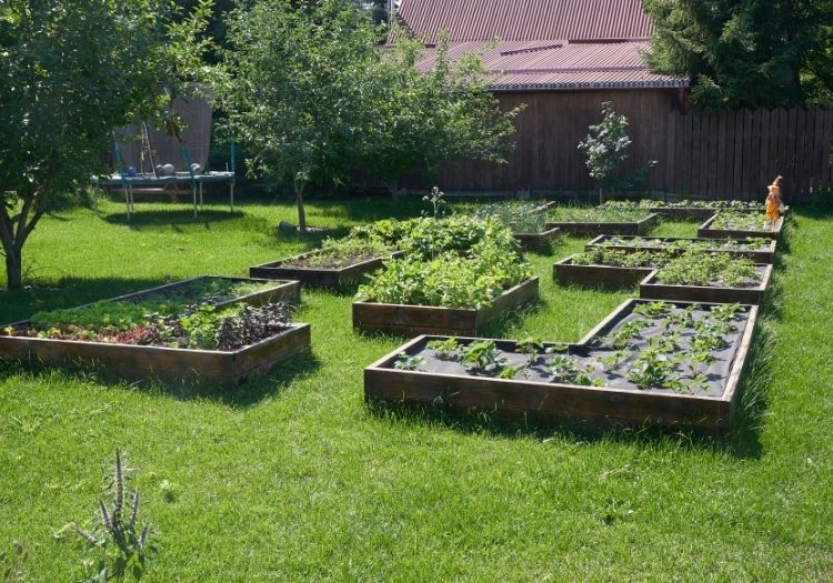 Conception de jardin