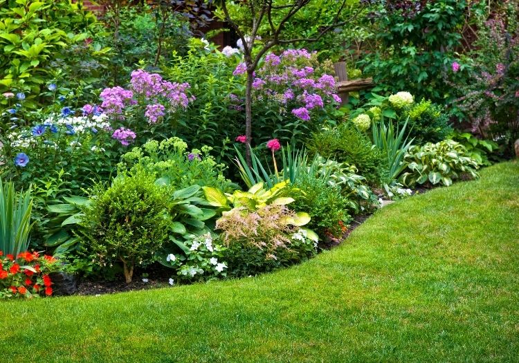 Plantation et massifs